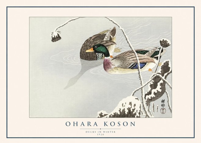 Ohara Koson Ducks in Winter No1 - Plakat