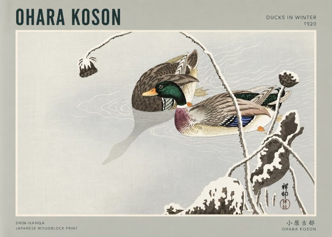 Ohara Koson Ducks in Winter No3 - Plakat