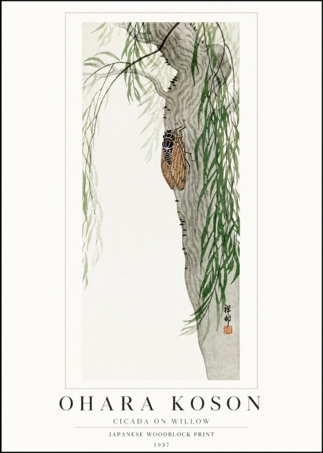 Ohara Koson Cicada on Willow No1 - Plakat