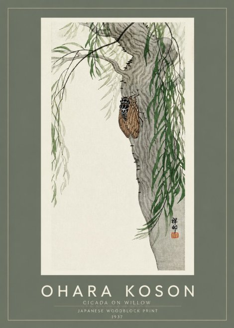 Ohara Koson Cicada on Willow No2 - Plakat