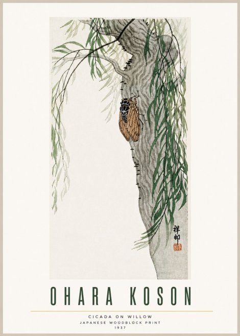 Ohara Koson Cicada on Willow No3 - Plakat