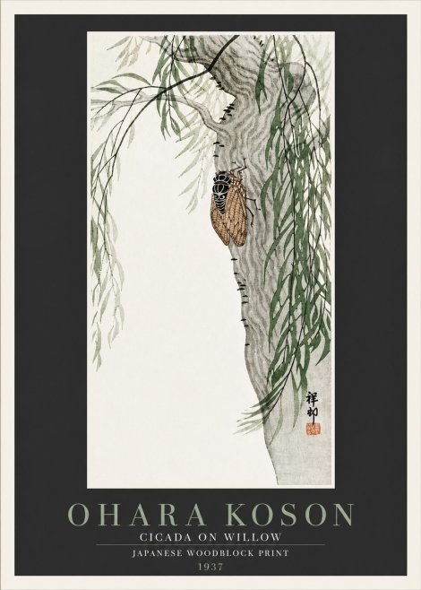 Ohara Koson Cicada on Willow No4 - Plakat