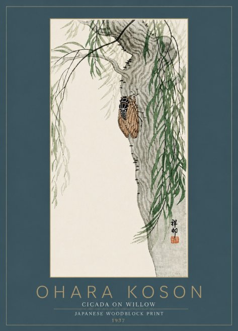 Ohara Koson Cicada on Willow No6 - Plakat