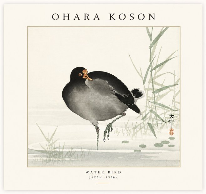 Ohara Koson Water Bird No1 - Plakat