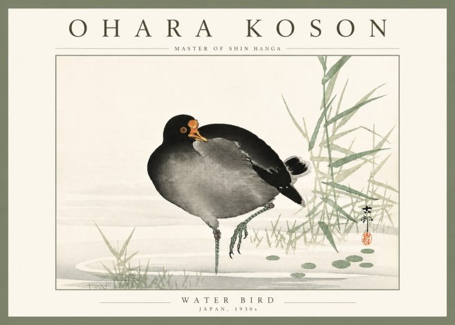 Ohara Koson Water Bird No4 - Plakat