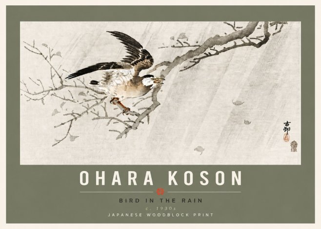 Ohara Koson Bird in the Rain No6 - Plakat