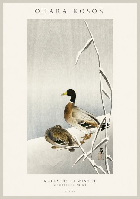 Ohara Koson Mallards in Winter No1 - Plakat