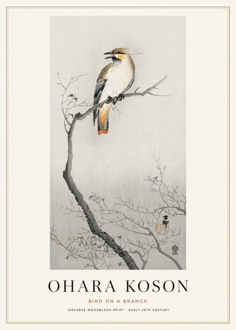 Ohara Koson Bird on a Branch I No1 - Plakat