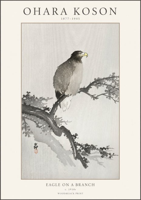 Ohara Koson Eagle on a Branch I No1 - Plakat