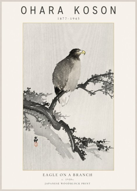 Ohara Koson Eagle on a Branch I No2 - Plakat