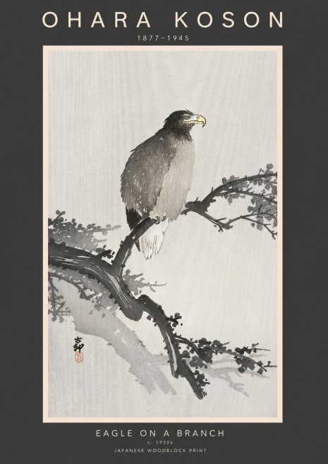 Ohara Koson Eagle on a Branch I No3 - Plakat
