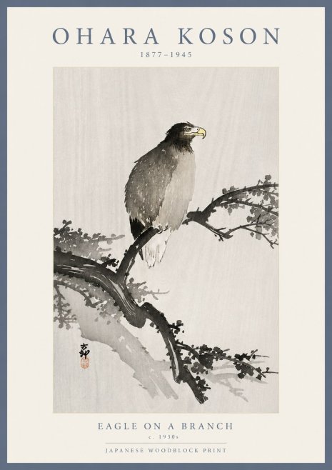 Ohara Koson Eagle on a Branch I No5 - Plakat