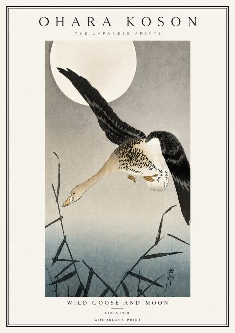 Ohara Koson Wild Goose and Moon No6 - Plakat
