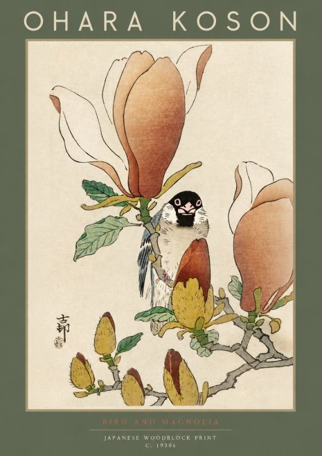Ohara Koson Bird and Magnolia No2 - Plakat