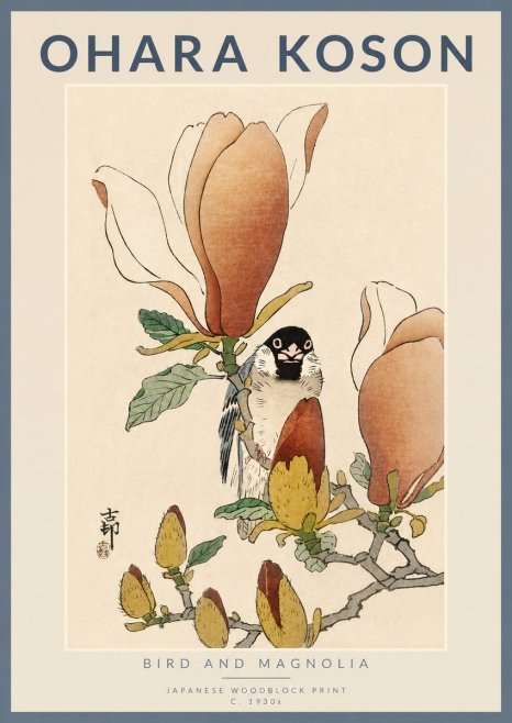 Ohara Koson Bird and Magnolia No4 - Plakat