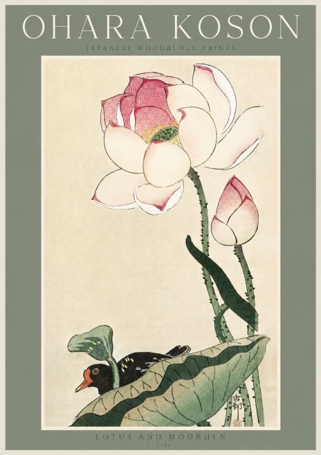 Ohara Koson Lotus and Moorhen No3 - Plakat
