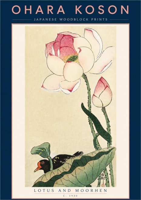 Ohara Koson Lotus and Moorhen No5 - Plakat
