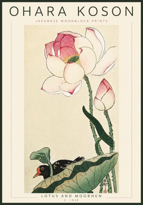 Ohara Koson Lotus and Moorhen No6 - Plakat