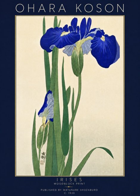 Ohara Koson Irises I No5 - Plakat