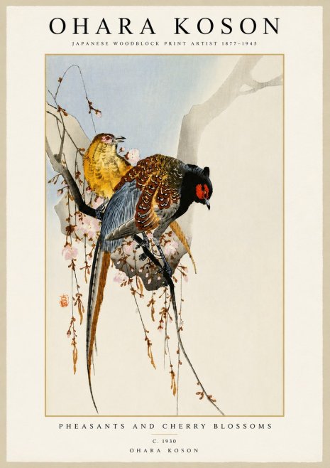 Ohara Koson Pheasants and Cherry Blossoms I No5 - Plakat