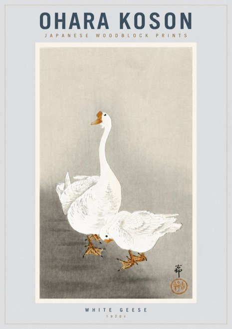Ohara Koson White Geese No4 - Plakat