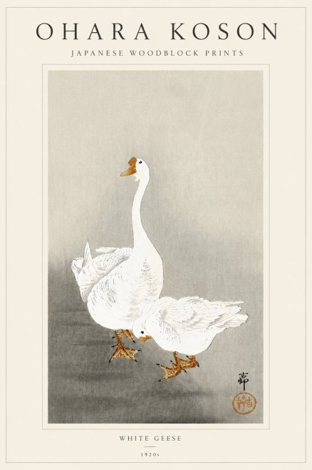 Ohara Koson White Geese No5 - Plakat