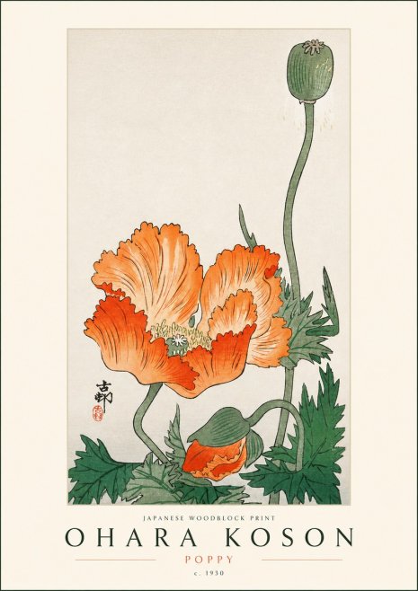 Ohara Koson Poppy No3 - Plakat