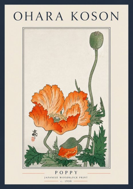 Ohara Koson Poppy No5 - Plakat