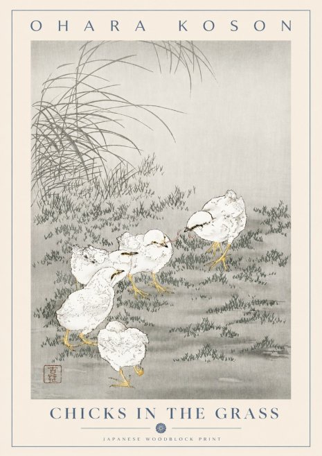 Ohara Koson Chicks in the Grass No2 - Plakat