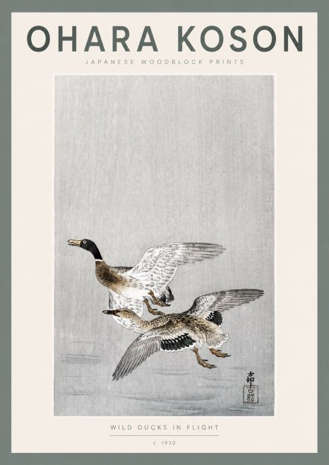 Ohara Koson Wild Ducks in Flight No2 - Plakat