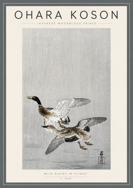 Ohara Koson Wild Ducks in Flight No5 - Plakat