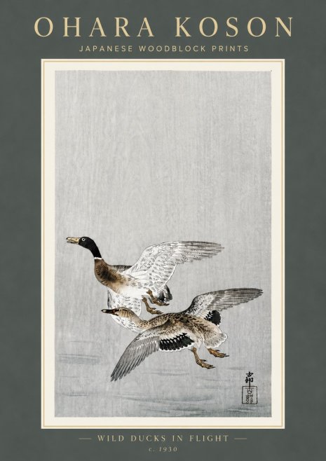 Ohara Koson Wild Ducks in Flight No6 - Plakat