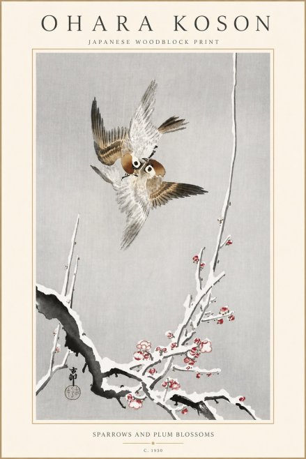Ohara Koson Sparrows and Plum Blossoms No4 - Plakat