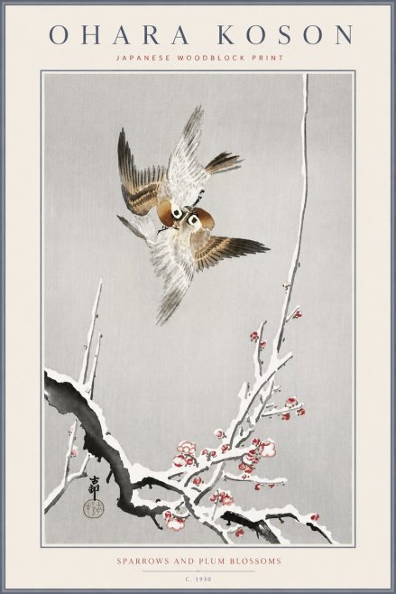 Ohara Koson Sparrows and Plum Blossoms No6 - Plakat