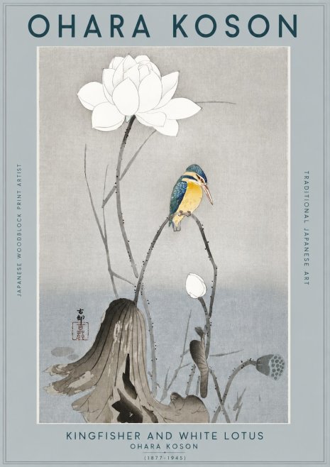 Ohara Koson Kingfisher and White Lotus No2 - Plakat