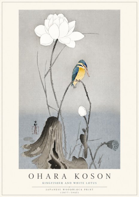 Ohara Koson Kingfisher and White Lotus No3 - Plakat
