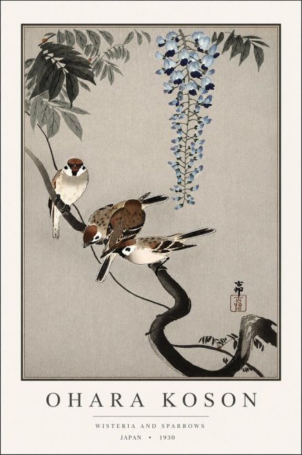 Ohara Koson Wisteria and Sparrows No3 - Plakat
