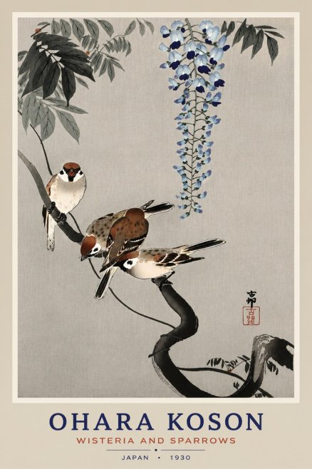 Ohara Koson Wisteria and Sparrows No4 - Plakat
