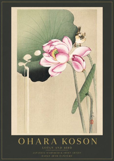 Ohara Koson Lotus and Bird No6 - Plakat