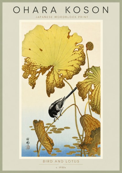 Ohara Koson Bird and Lotus No6 - Plakat