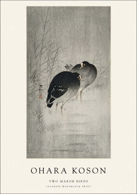 Ohara Koson Two Marsh Birds No1 - Plakat