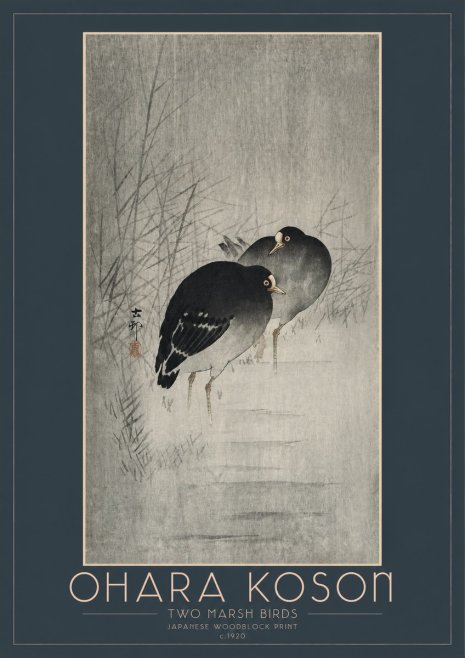Ohara Koson Two Marsh Birds No2 - Plakat