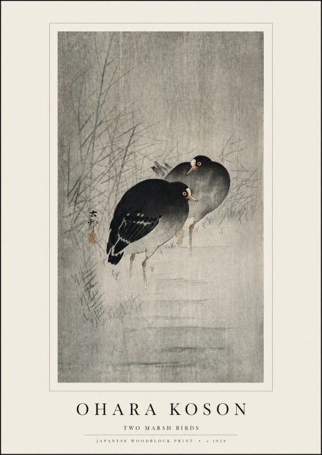 Ohara Koson Two Marsh Birds No3 - Plakat