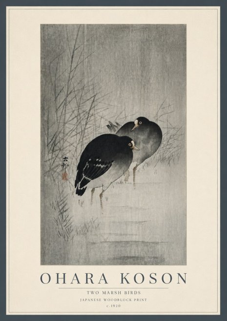 Ohara Koson Two Marsh Birds No5 - Plakat