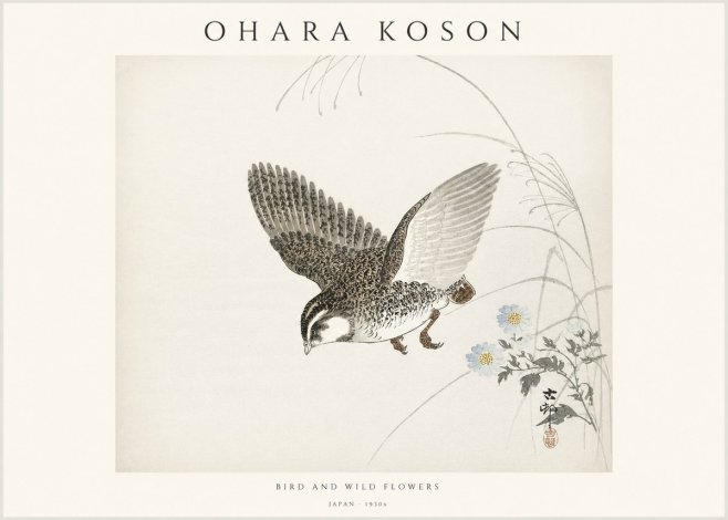 Ohara Koson Bird and Wild Flowers No1 - Plakat