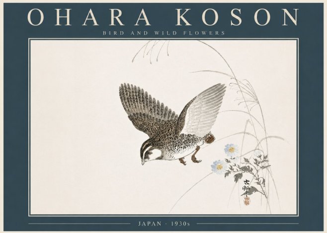 Ohara Koson Bird and Wild Flowers No5 - Plakat