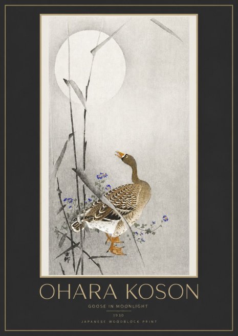 Ohara Koson Goose in Moonlight No3 - Plakat