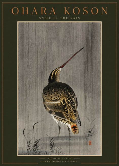 Ohara Koson Snipe in the Rain No2 - Plakat