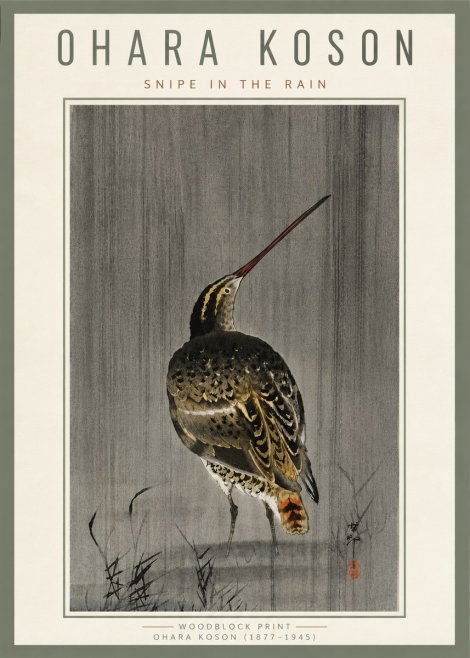 Ohara Koson Snipe in the Rain No6 - Plakat
