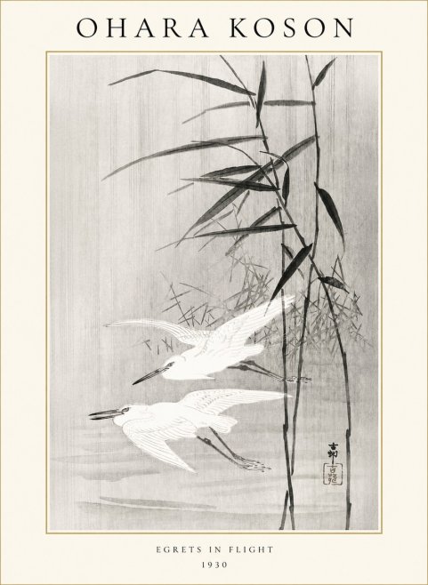 Ohara Koson Two Herons and Reeds No2 - Plakat